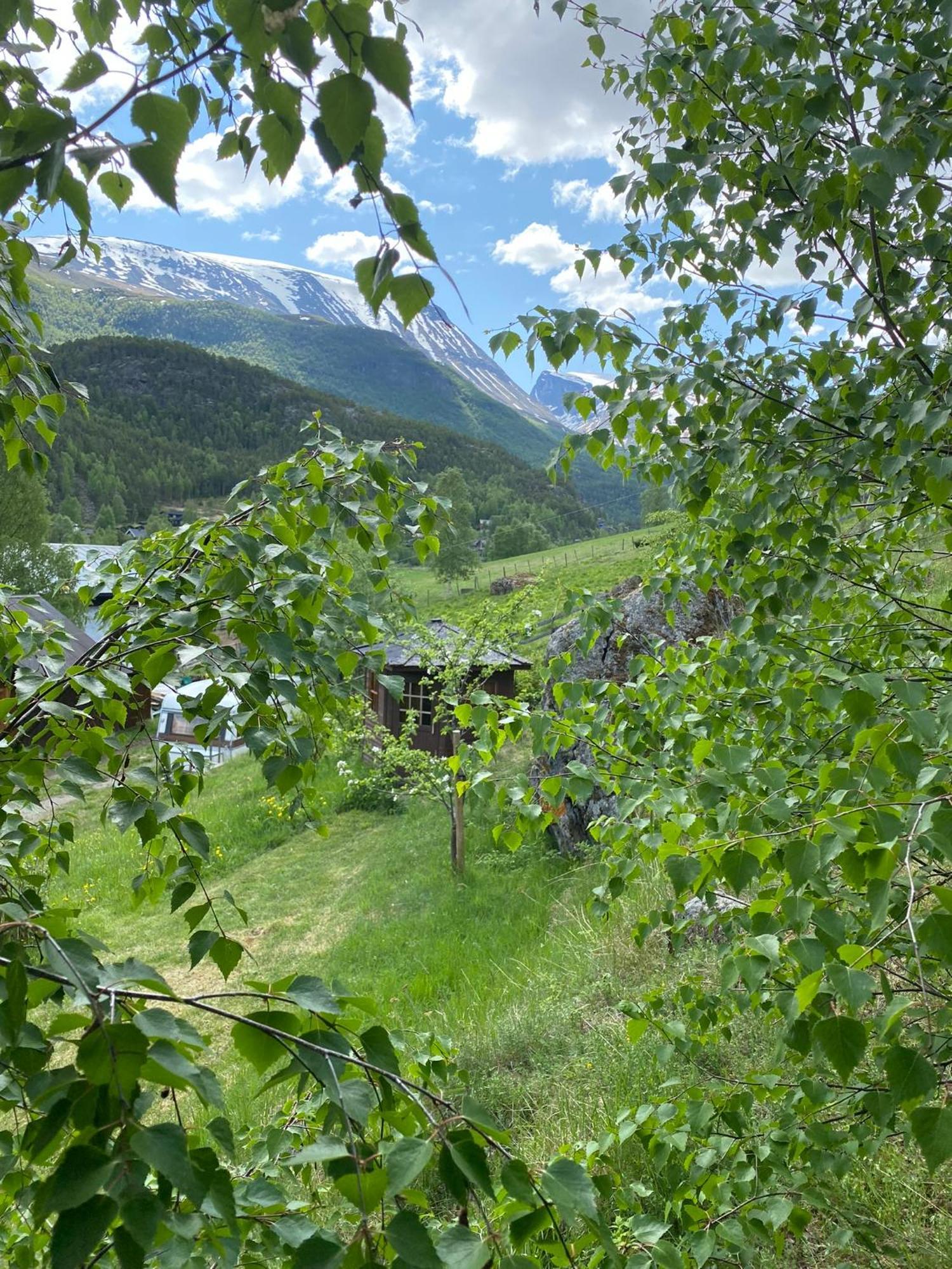 Galde Uppigard Boverdalen Exterior foto